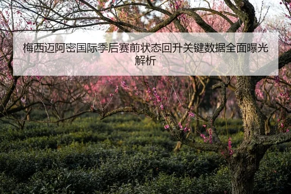 梅西迈阿密国际季后赛前状态回升关键数据全面曝光解析